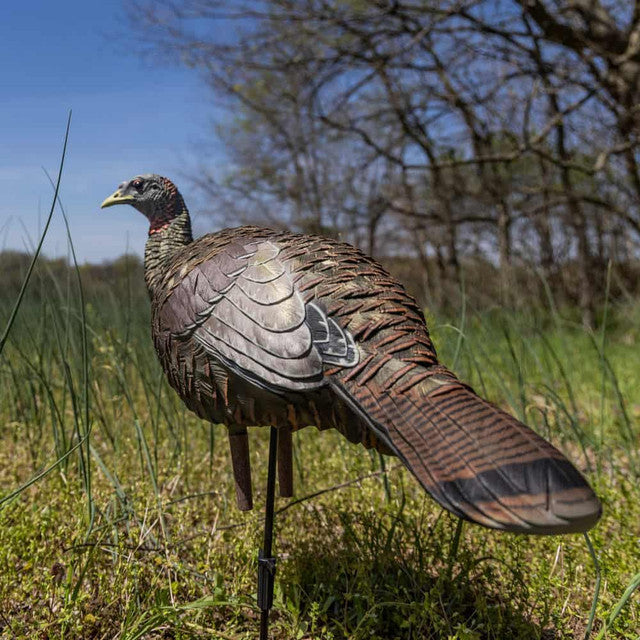 Avian-X LCD Breeder Hen Turkey Decoy, Full Body, Inflatable
