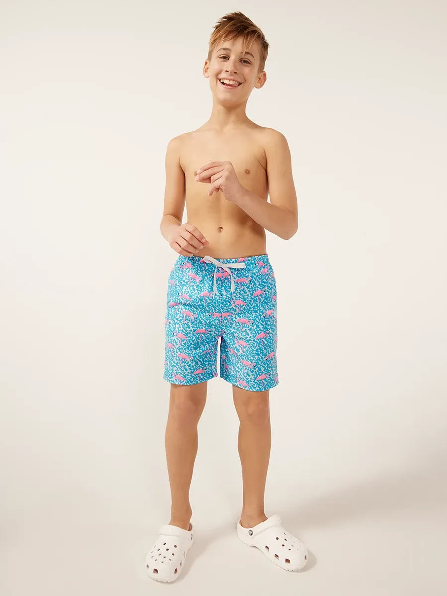 Chubbies The Domingos Are For Flamingos Boys Classic Swim Trunk, Blue Spot with Flamingos