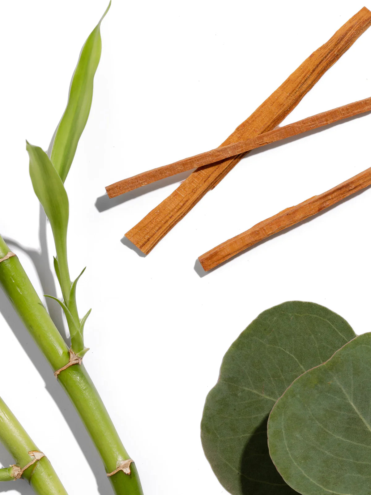 Pura 4 Fragrance Refill- Bamboo Forest