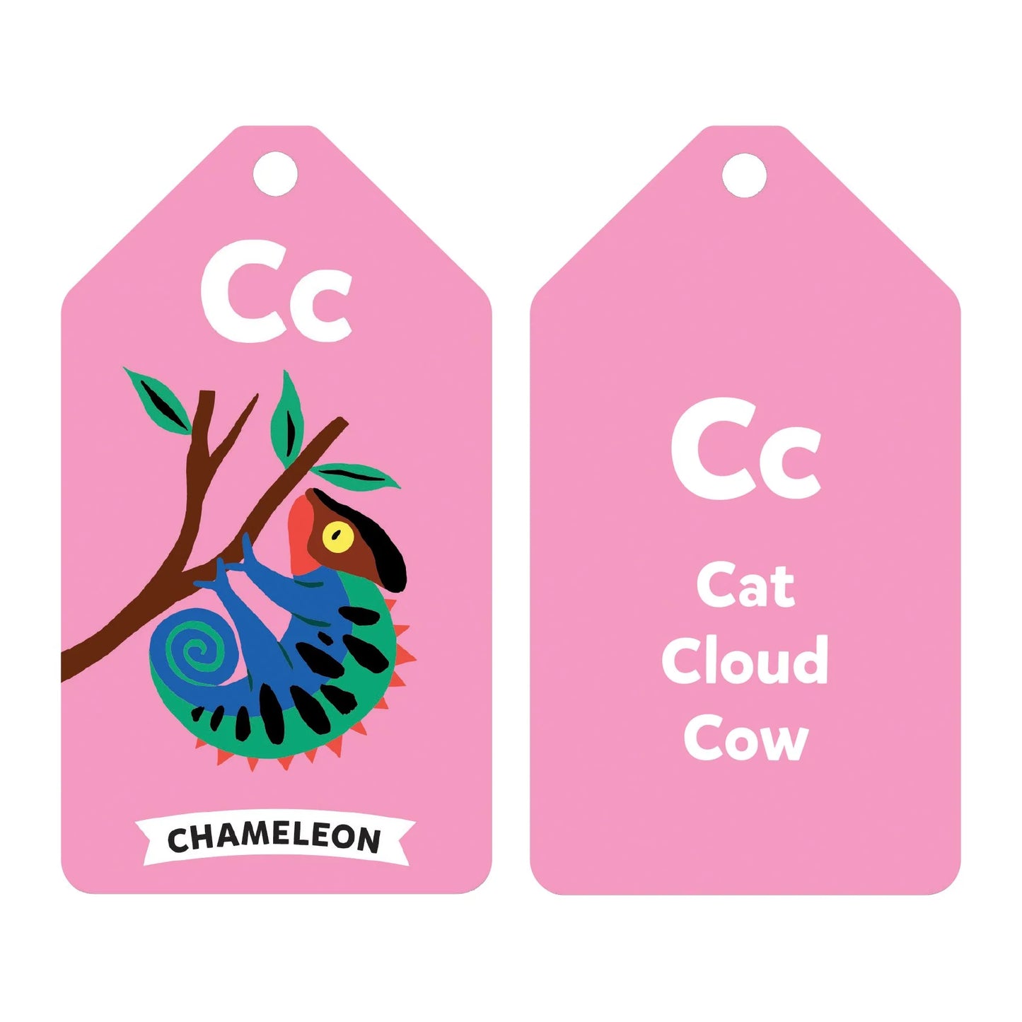 Mudpuppy Wildlife ABCs Ring Flash Cards