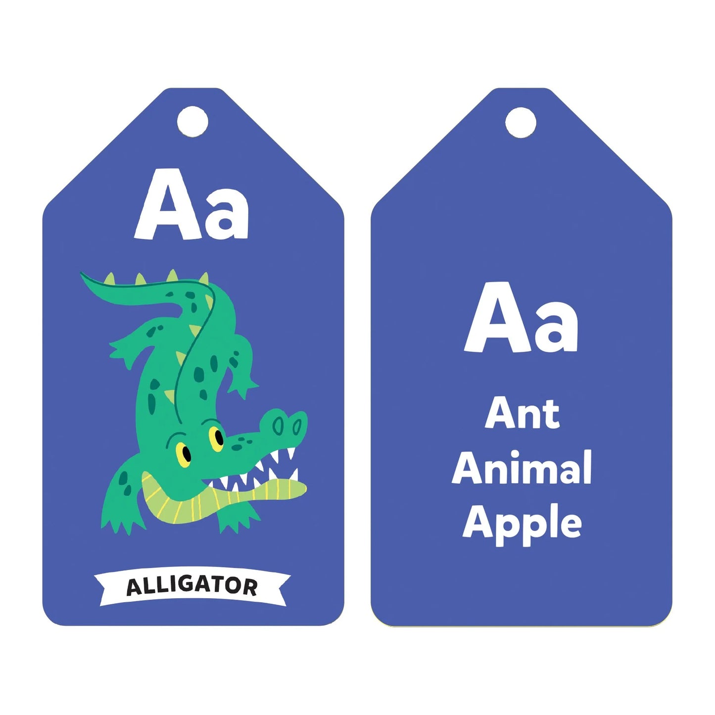 Mudpuppy Wildlife ABCs Ring Flash Cards