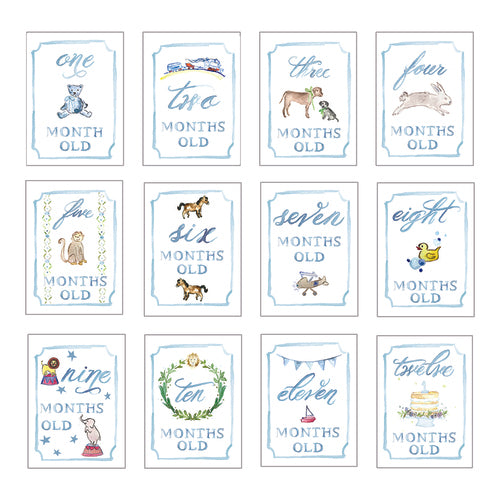 Blue Month By Month Baby Cards