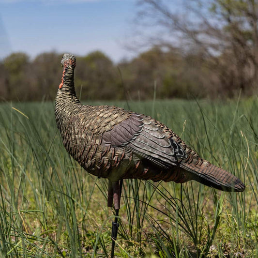 AVIAN-X LCD Lookout Hen