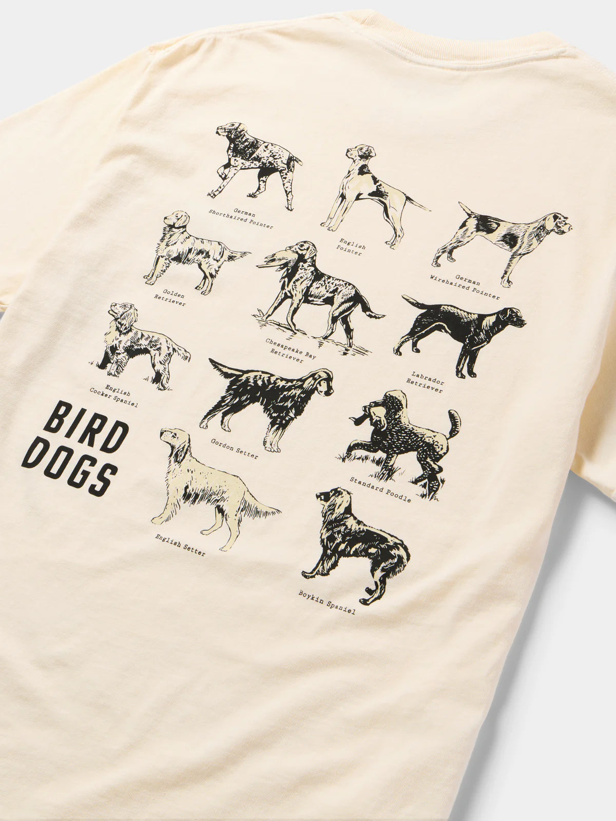 Duck Camp Bird Dogs Tee, Ivory