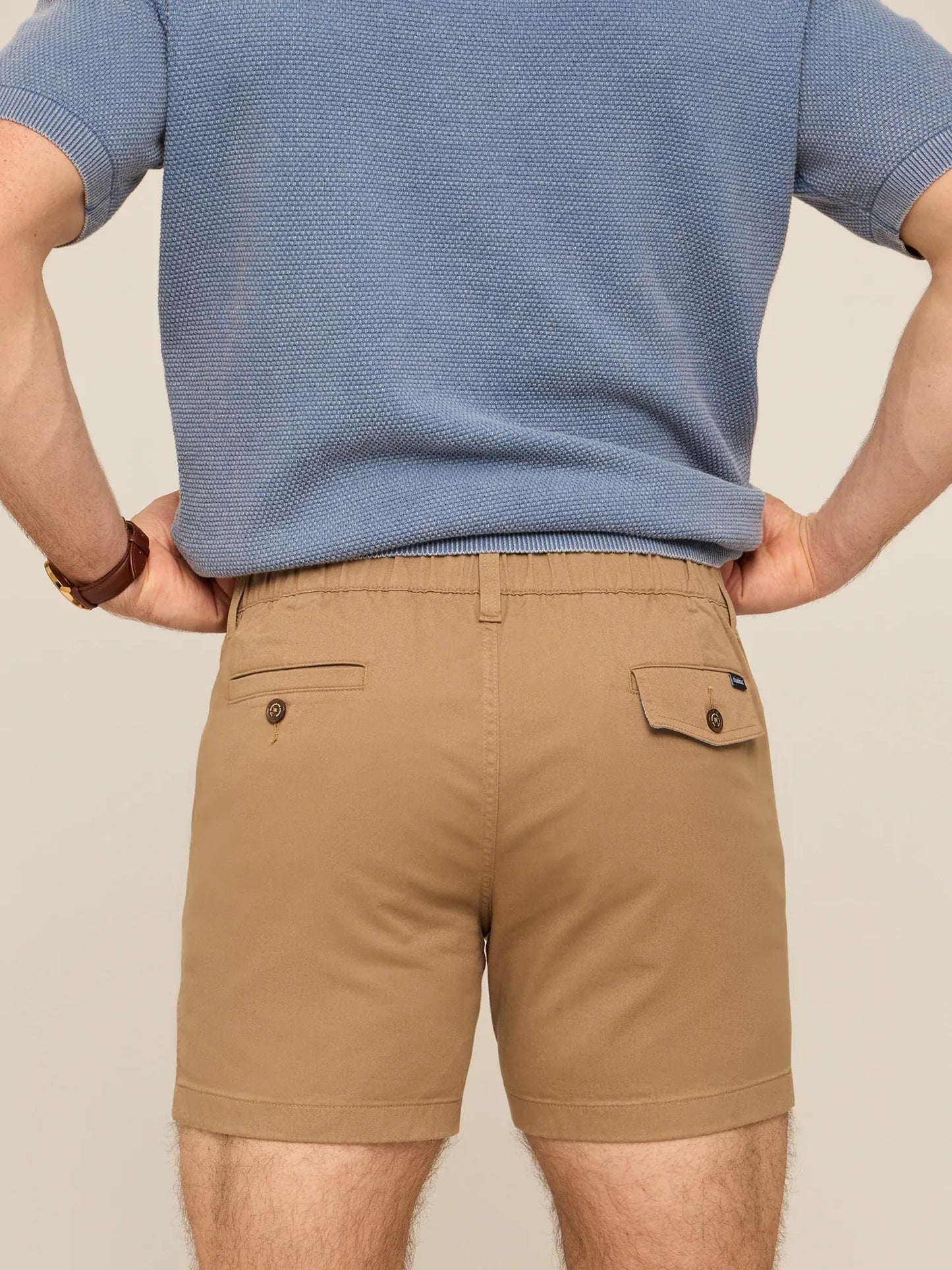 Chubbies The Cinnamon Dusts Originals Stretch Short