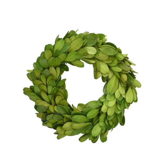 Preserved Boxwood Candle Ring - 4.5 Inch