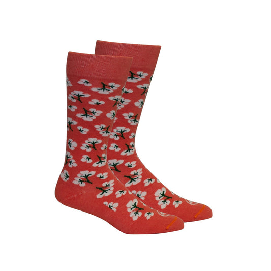 Brown Dog Hosiery High Cotton Dubarry Brown Dog Socks