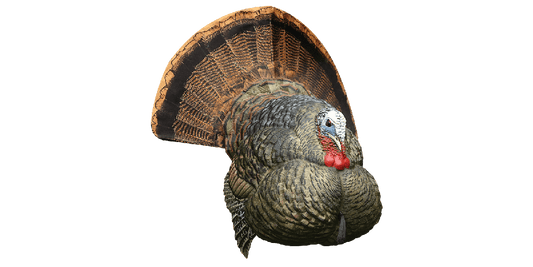 Avian X Decoy LCD Stutter